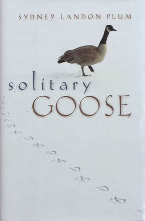 Stock ID 26862 Solitary goose. Sydney Landon Plum.