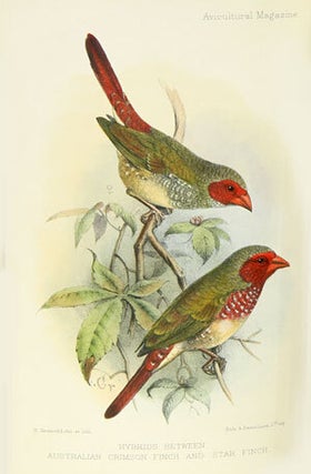 The Avicultural magazine. Being the journal of the Avicultural Society for the study of foreign and British birds.