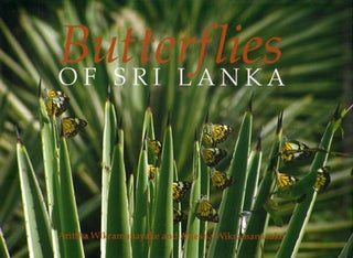 Stock ID 26911 Butterflies of Sri Lanka. Arittha Wikramanayake, Ariesha Wikramanayake