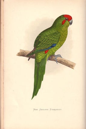 Parrots in captivity.