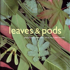 Stock ID 27100 Leaves and pods. Mary Ellen Hannibal