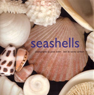 Stock ID 27102 Seashells. Sandy Carlson