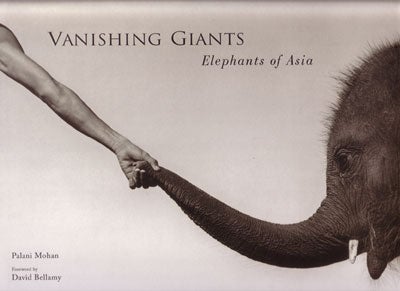 Stock ID 27107 Vanishing giants: elephants in Asia. Palani Mohan.
