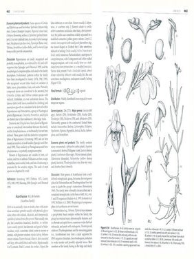 Plant systematics: a phylogenetic approach.