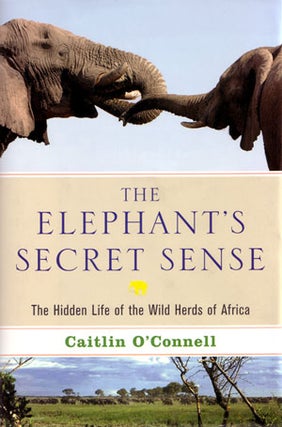 Stock ID 27143 The elephant's secret sense: the hidden life of the wild herds of Africa. Caitlin...