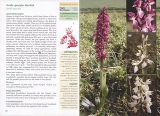 Britain's orchids: a guide to the identification and ecology of the wild orchids of Britain and Ireland.