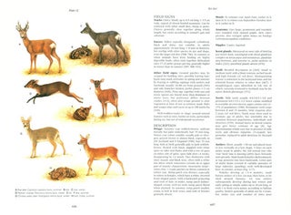 Mammals of the British Isles: handbook.