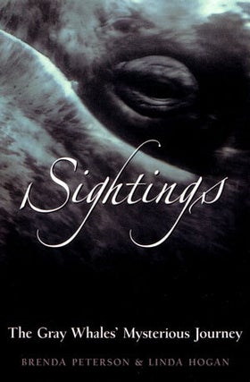 Stock ID 27378 Sightings: the Gray whales' mysterious journey. Brenda Peterson, Linda Hogan