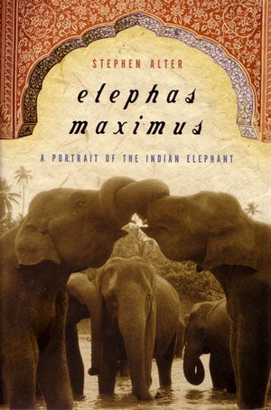 Stock ID 27380 Elephas maximus: a portrait of the Indian elephant. Stephen Alter.