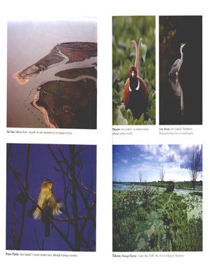 The birds of Essex.