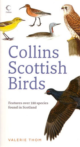 Stock ID 27447 Collins Scottish birds. Valerie Thom.
