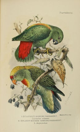 Parrakeets: a handbook to the imported species.
