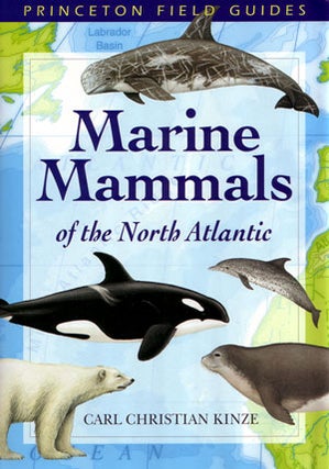 Stock ID 27630 Marine mammals of the North Atlantic. Carl Christian Kinze