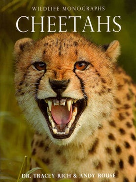 Stock ID 27753 Cheetahs. Tracey Rich, Andy Rouse