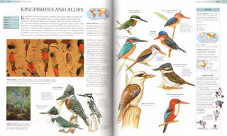 The encyclopedia of animals: a complete visual guide.