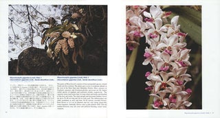 Wild Orchids in Myanmar: last paradise of wild orchids. Volume two: a poem of wild orchids.
