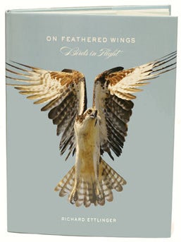 Stock ID 28060 On feathered wings: birds in flight. Richard Ettlinger