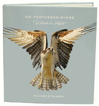 Stock ID 28060 On feathered wings: birds in flight. Richard Ettlinger
