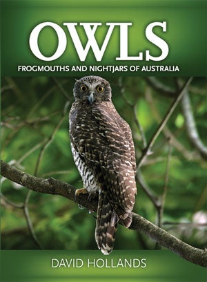Stock ID 28064 Owls, frogmouths and nightjars of Australia. David Hollands