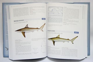 Sharks and rays of Australia.