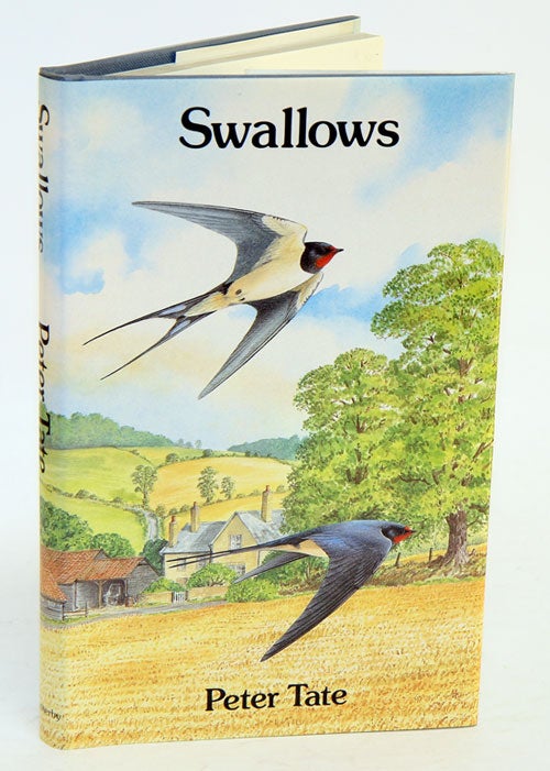 Stock ID 2814 Swallows. Peter Tate.