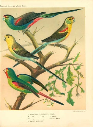 The illustrated book of canaries and cage-birds, British and foreign.
