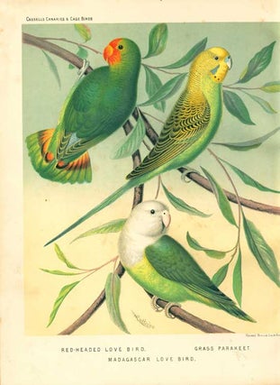 The illustrated book of canaries and cage-birds, British and foreign.
