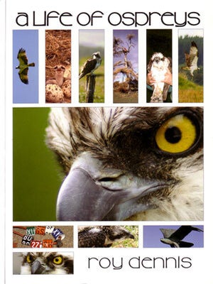 Stock ID 28433 A life of Ospreys. Roy Dennis