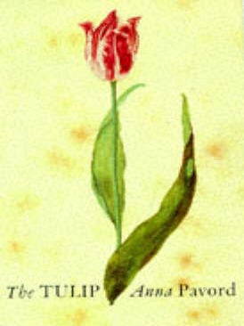 Stock ID 28634 The tulip. Anna Pavord