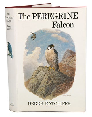 Stock ID 28643 The Peregrine falcon. Derek Ratcliffe