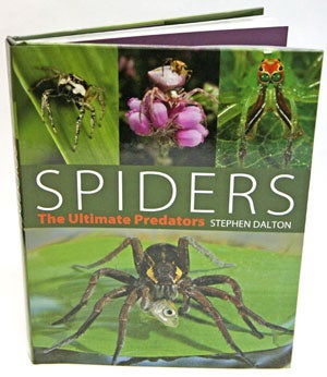 Stock ID 28687 Spiders: the ultimate predators. Stephen Dalton