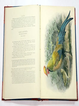 A history of the birds of Ceylon.