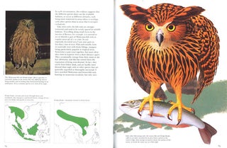 Owls of the world: their evolution, structure and ecology.