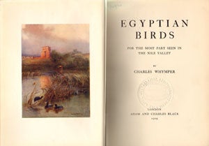 Egyptian birds: for the most part seen in the Nile Valley.