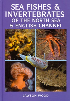 Stock ID 28747 Sea fishes and invertebrates of the North Sea and English Channel. Lawson Wood