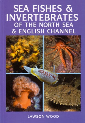 Stock ID 28747 Sea fishes and invertebrates of the North Sea and English Channel. Lawson Wood.