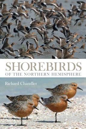 Stock ID 28761 Shorebirds of the Northern Hemisphere. Richard Chandler