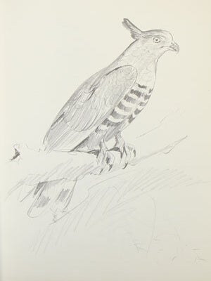 Pencil drawings, 1969-78.