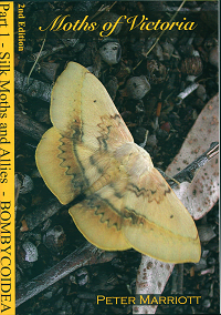 Stock ID 28859 Moths of Victoria: part one, Silk moths and allies Bombycoidea. Peter Marriott