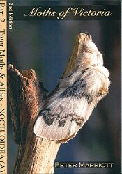 Stock ID 28868 Moths of Victoria: part two, Tiger moths and allies Noctuoidea (A). Peter Marriott