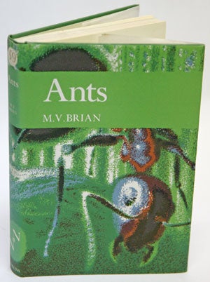 Stock ID 28929 Ants. M. V. Brian