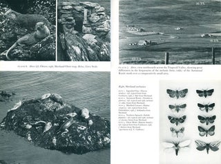 The natural history of Shetland.