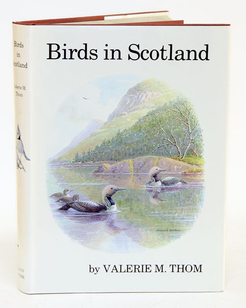 Stock ID 2896 Birds in Scotland. Valerie M. Thom.