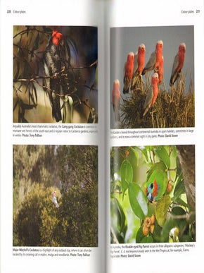 The complete guide to finding birds of Australia.