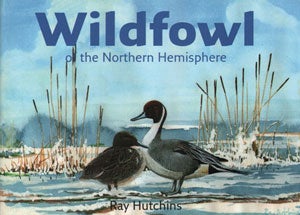 Stock ID 29087 Wildfowl of the northern hemisphere. Ray Hutchins