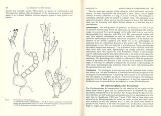 Seaweeds of the British Isles ..., volume one Rhodophyta: part one, introduction, Namalialis, gigartinales.