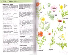 Collins flower guide.