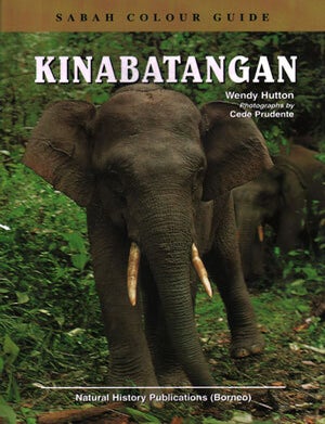 Stock ID 29457 Sabah colour guide: Kinabatangan. Wendy Hutton.