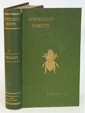 Stock ID 29563 Australian insects. Walter W. Froggatt