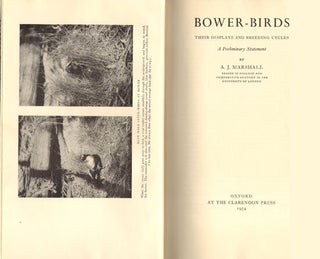 Bower-birds: their displays and breeding cycles. A preliminary statement.